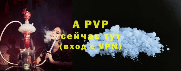 круглые Белокуриха