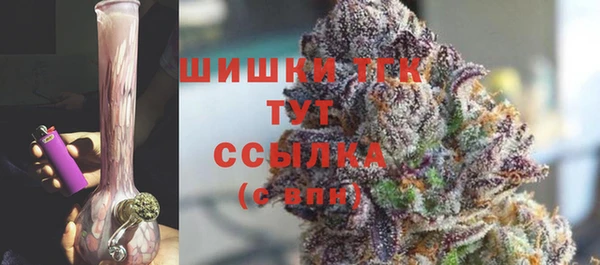 круглые Белокуриха
